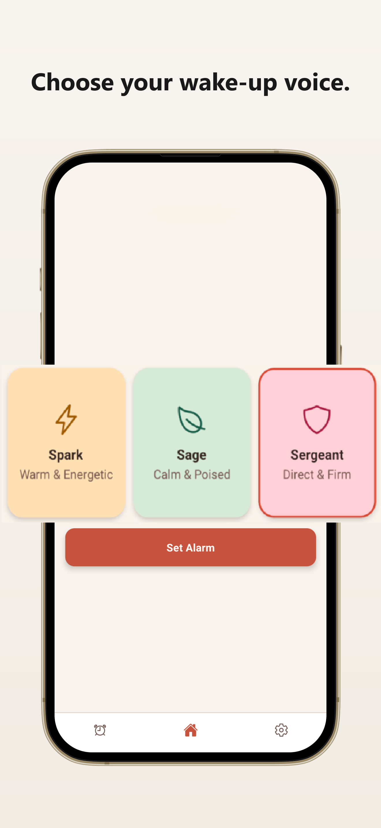 ZenSpark voice selection screen