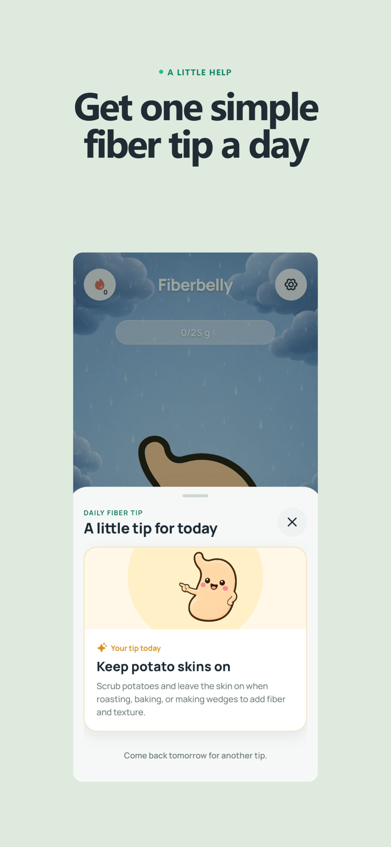 Fiberbelly daily fiber tip screen