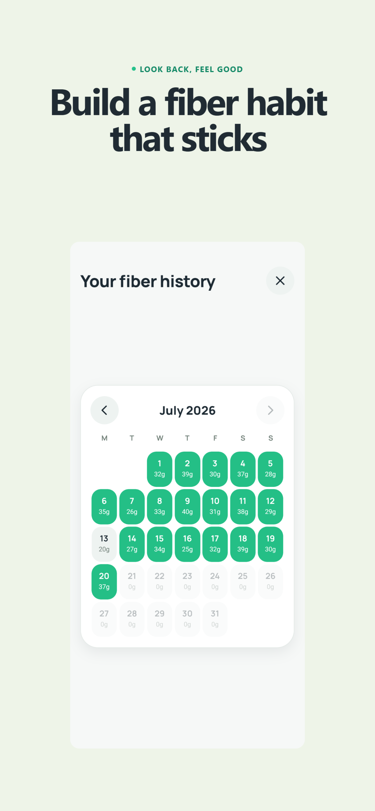 Fiberbelly fiber history calendar
