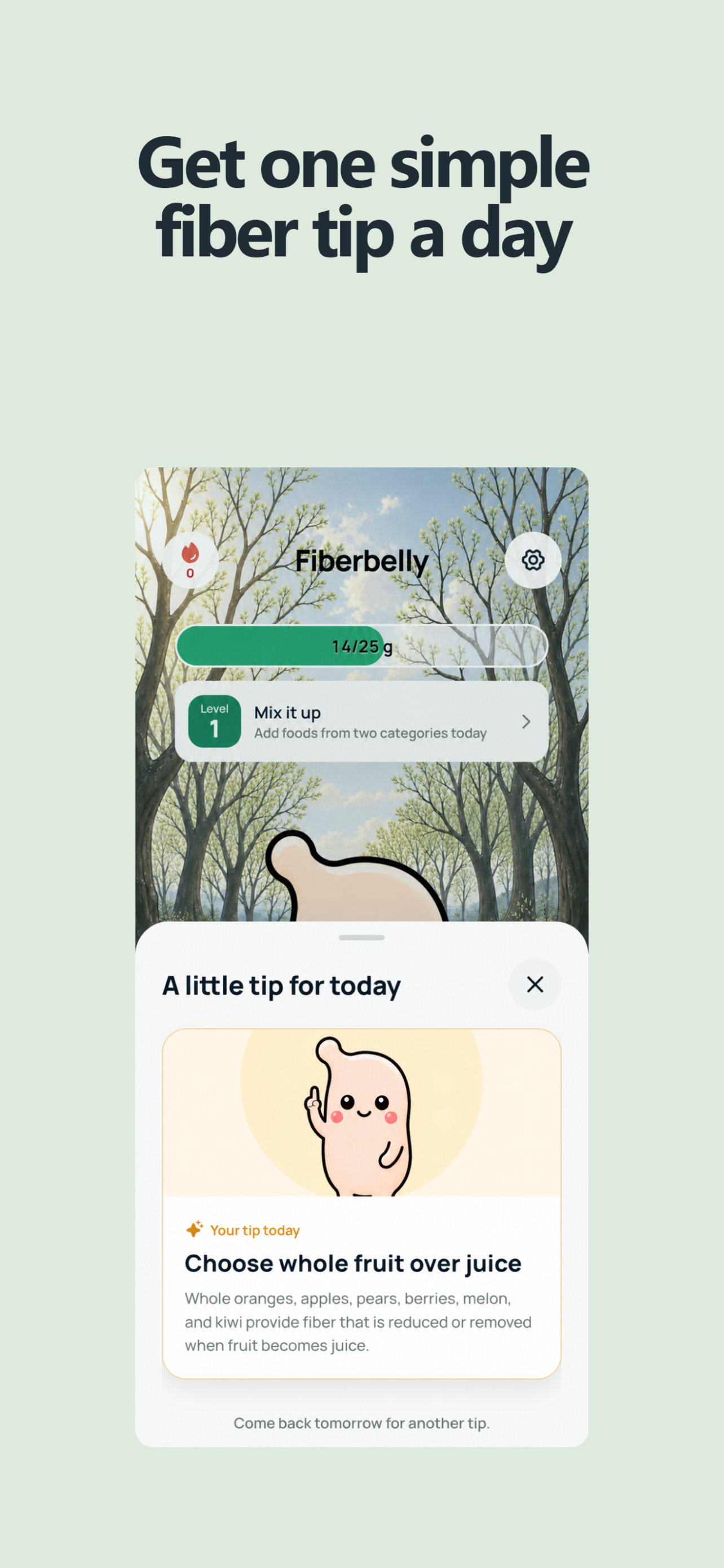 Fiberbelly daily fiber tip screen